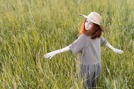 emotional redhead girl playing in the grass on a summer meadow at sunset in an elegant dressの写真素材