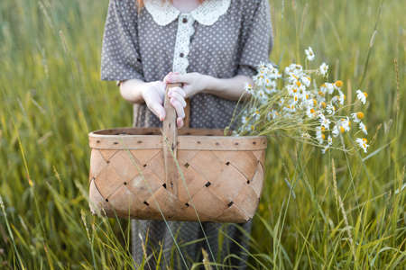 close-up, hands of a girl who plays in the grass on a summer meadowの写真素材