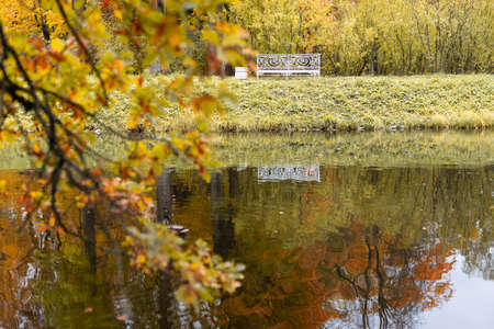 View of Russian park in the autumn eveningの写真素材