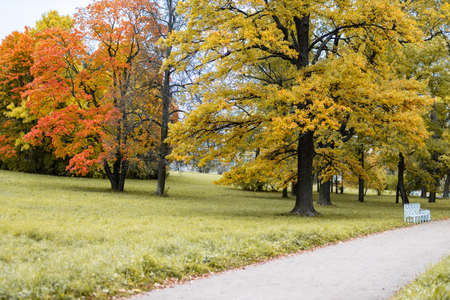 View of Russian park in the autumn eveningの写真素材