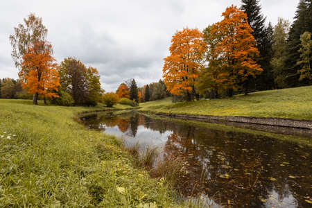 beautiful autumn park at sunny weather