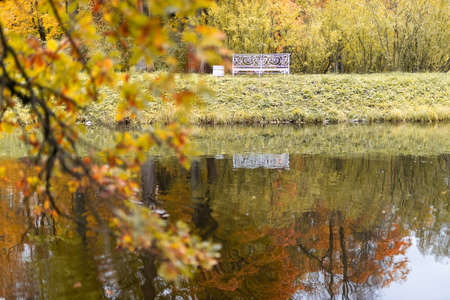 beautiful autumn park at sunny weatherの写真素材