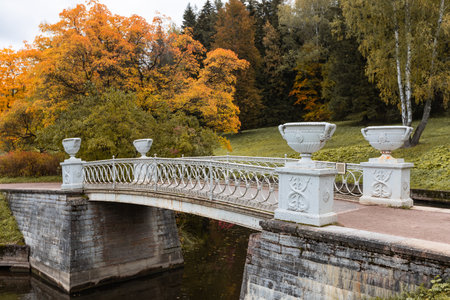 park in autumn foliage in eveningの写真素材