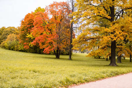 beautiful autumn park at sunny weatherの写真素材