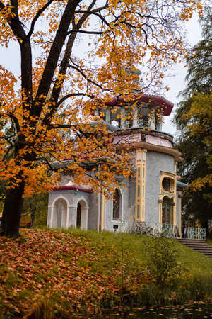 park in autumn foliage in eveningの写真素材