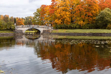 park in autumn foliage in eveningの写真素材