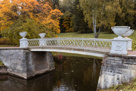 park in autumn foliage in eveningの写真素材