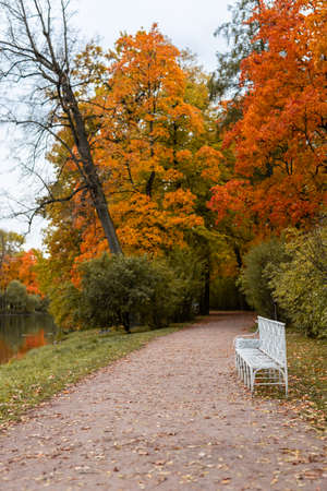 beautiful autumn park at sunny weatherの写真素材
