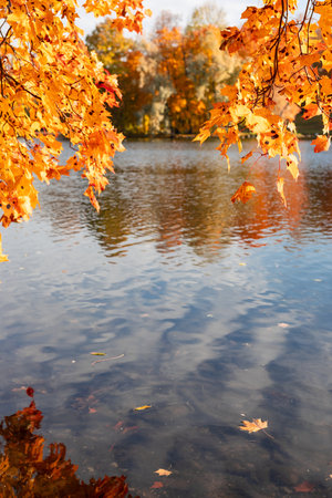 View of Russian park in the autumn eveningの写真素材