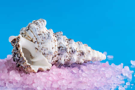Pink spa sea salt. Lot of pieces of pink himalayan salt crystals, relax and rest, bath procedure.の写真素材