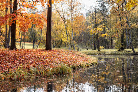 View of Russian park in the autumn eveningの写真素材
