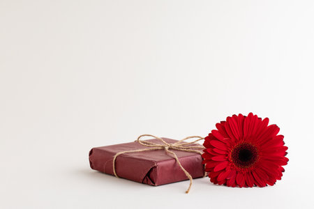 Red gebera flower with different objects on whiteの写真素材