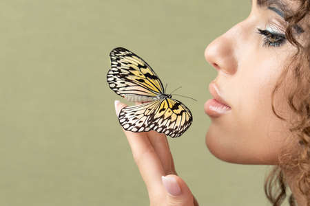 butterfly on the palm, green background, copytextの写真素材