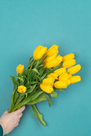 yellow tulips on blue background. Space for text. Spring is coming. Ukraine flag colorの写真素材