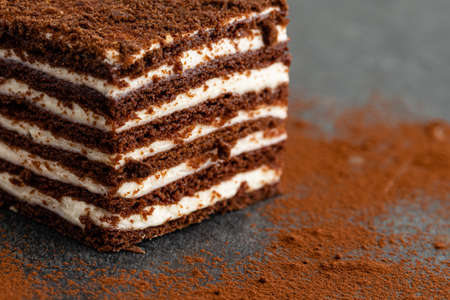 chocolate vanilla cake on gray stoneの写真素材