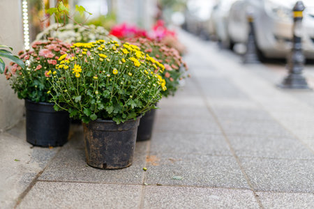 Urban landscape design on the street of small mediterranean town.の写真素材