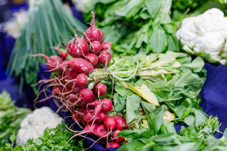 pink radish wholesaling in a local market, shown as vegan food concept backgroundの写真素材