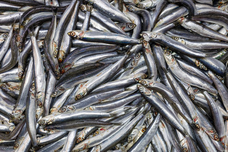 Mediterranean Fish Rare Market Full Frame