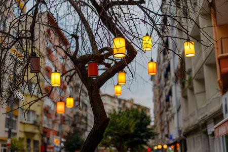 paper Lanterns on tree branch in Moda quarter, Istanbulの写真素材
