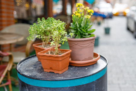 Urban landscape design on the street of small mediterranean town.