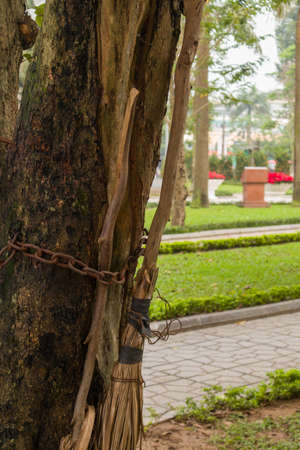 Big brooms are chained to a tree in a parkの写真素材