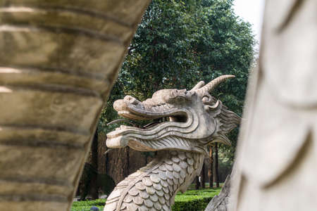A big dragon head statue in a green parkの写真素材