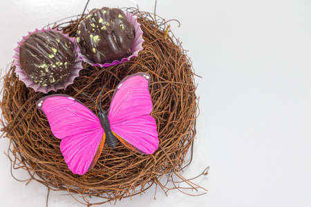 Handmade candies in a nest with pink butterfly on a white background.の写真素材