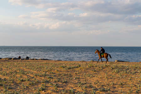 Beautiful horse run on the beach with a rider on the blue sky background.