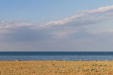 Smooth lines of sand with cabbage, sea and sky with clouds on background.