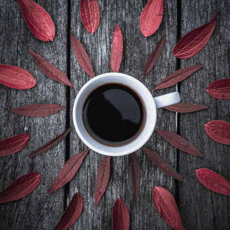 Coffee red leaves pattern on white background. Flat lay. backgroundの写真素材
