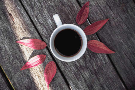 Coffee cup on green leaves background Flat lay.の写真素材