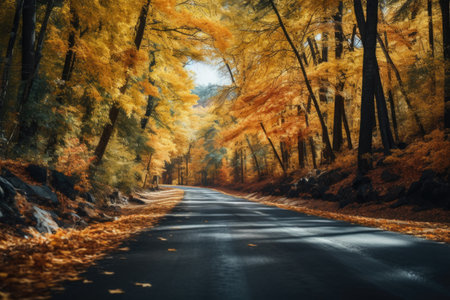 Autumn road in the forest with yellow leaves. Autumn landscape.の素材