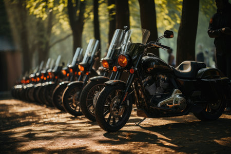 Row of custom motorcycles parked in the park. Selective focus.の素材