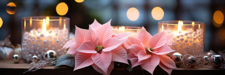 Festive Poinsettia Display: Pink Poinsettias with Green Foliage and Silver Beads - Valentine's Day Conceptの素材