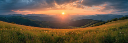 Sunset Over Flowering Mountain Meadowの素材