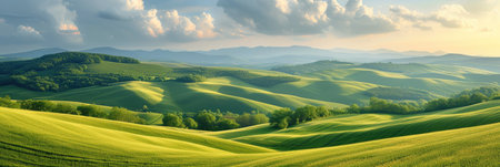 Sunny Landscape with Green Fieldsの素材
