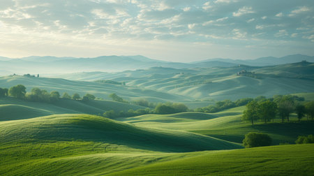 Golden Light Over Rolling Countrysideの素材