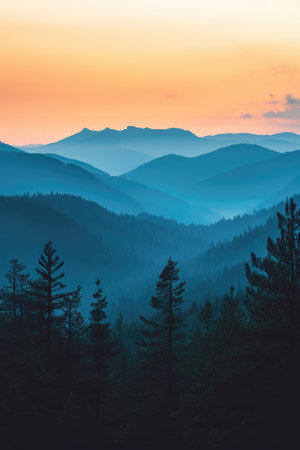 Forest Silhouette with Twilight Skyの素材