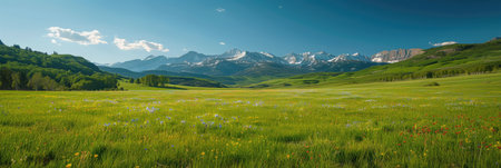 Expansive Green Meadow with Distant Mountain Rangeの素材