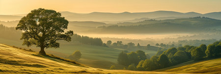 Misty Countryside Morningの素材