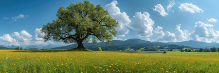 Serene Meadow with Solitary Treeの素材