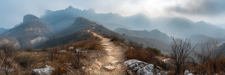 Desolate Mountain Trail in Misty Conditionsの素材