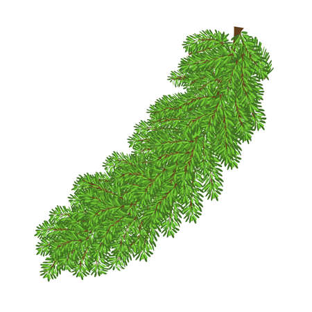 Spruce branch vector illustration. Christmas tree branch isolated on white background. Branch element for Christmas cards and bannersのイラスト素材