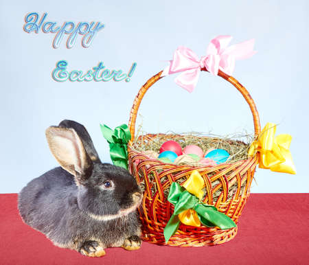 Rabbit next to the Easter basket with Easter eggs