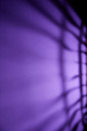 Unusual violet background with black stripesの写真素材