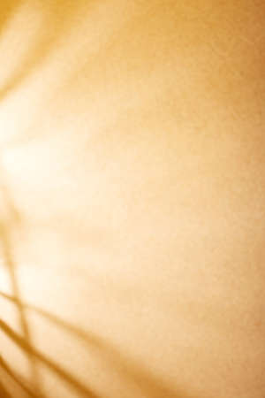 Background of yellow and white with different shadesの写真素材