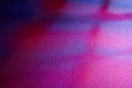 Beautiful background in blue and purple flowersの写真素材