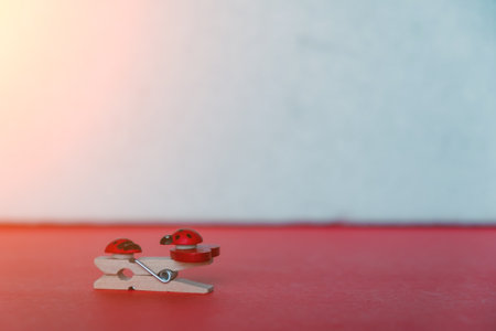 Two ladybugs sit on a clothespin with a heart and look at each other. Couple in love. Copy spaceの写真素材