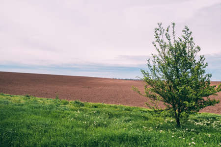 Landscape of a recently sown Ukrainian spring field.の写真素材