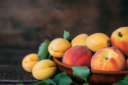 Apricots and peaches in one bowlの写真素材